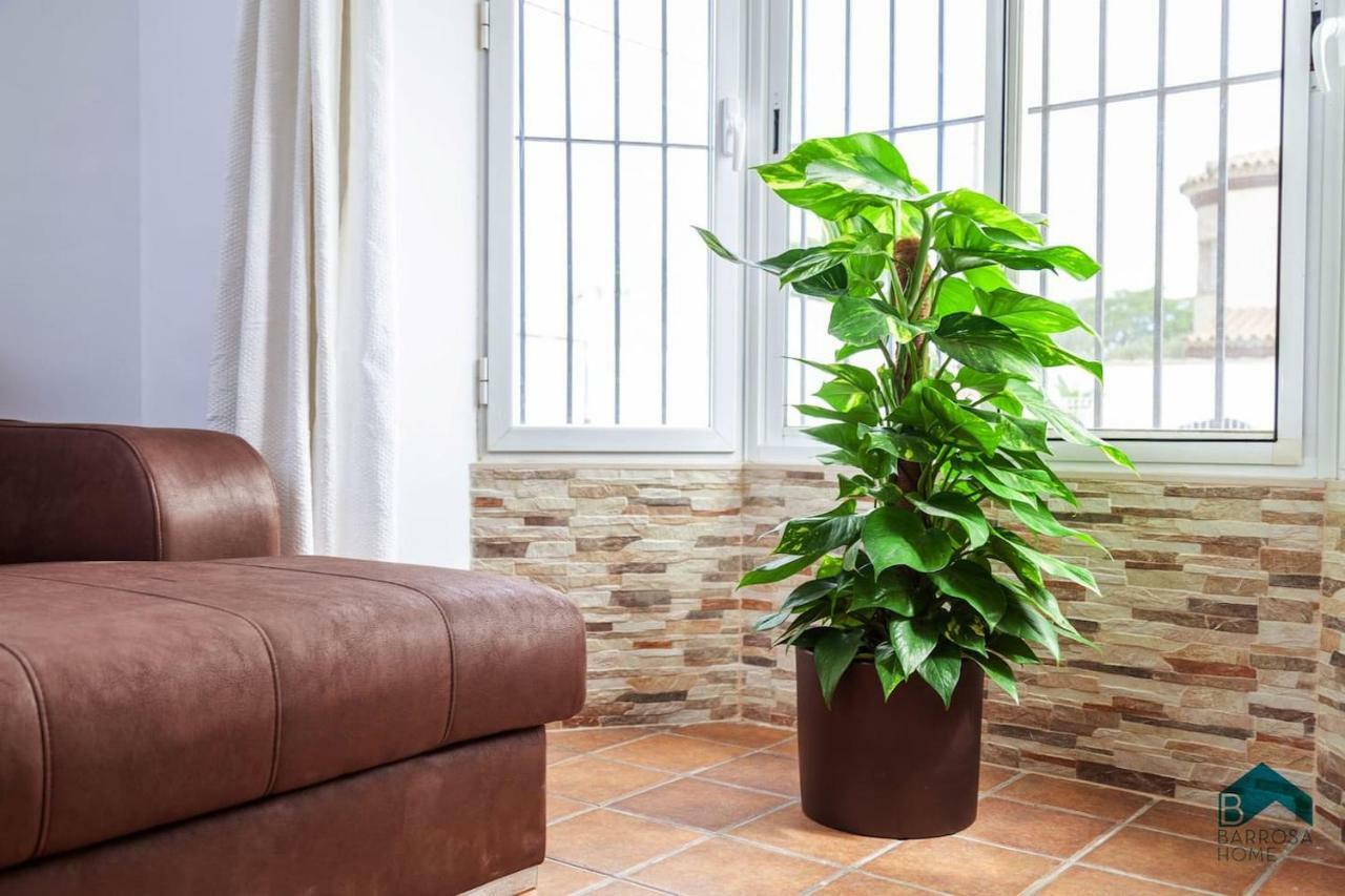 Villa Maca Chiclana de la Frontera Ngoại thất bức ảnh